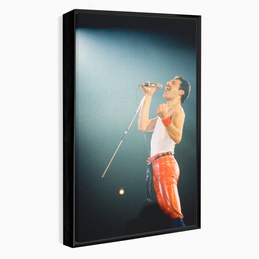 Tablou canvas cu tablou canvas cu freddie mercury, in rama de aluminiu negru